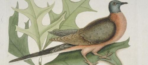 Elle s'appelait Martha