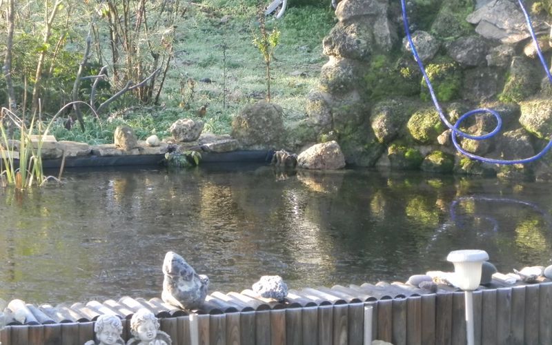 mes photos givrées