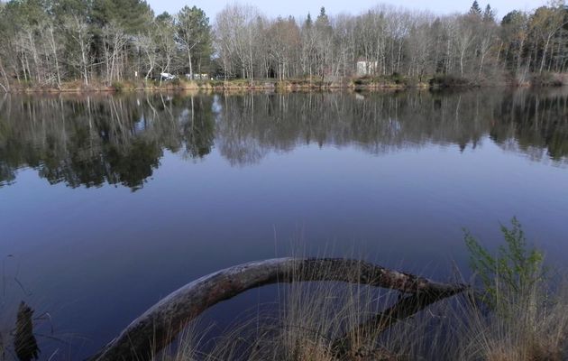 Reflet au lac de Hostens dept 33