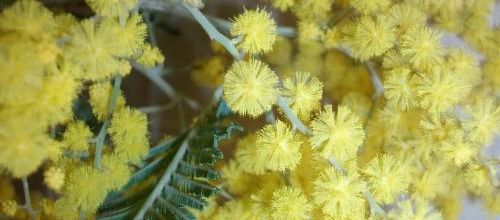 Un message du printemps