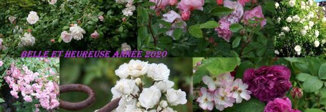 Belle et Heureuse Année 2020