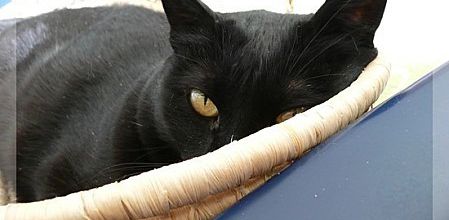 Bon week-end à tous