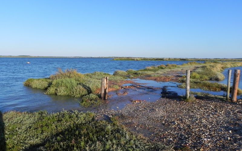 Mornac au bord de la seudre 17