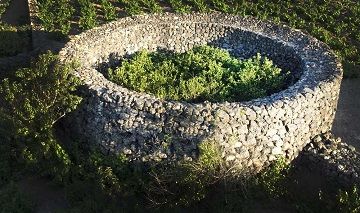 Les jardins de Pantelleria ....
