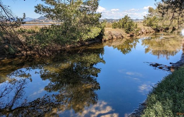 défi reflets d'Annie n°6
