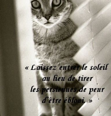 Citations en images : Le soleil....