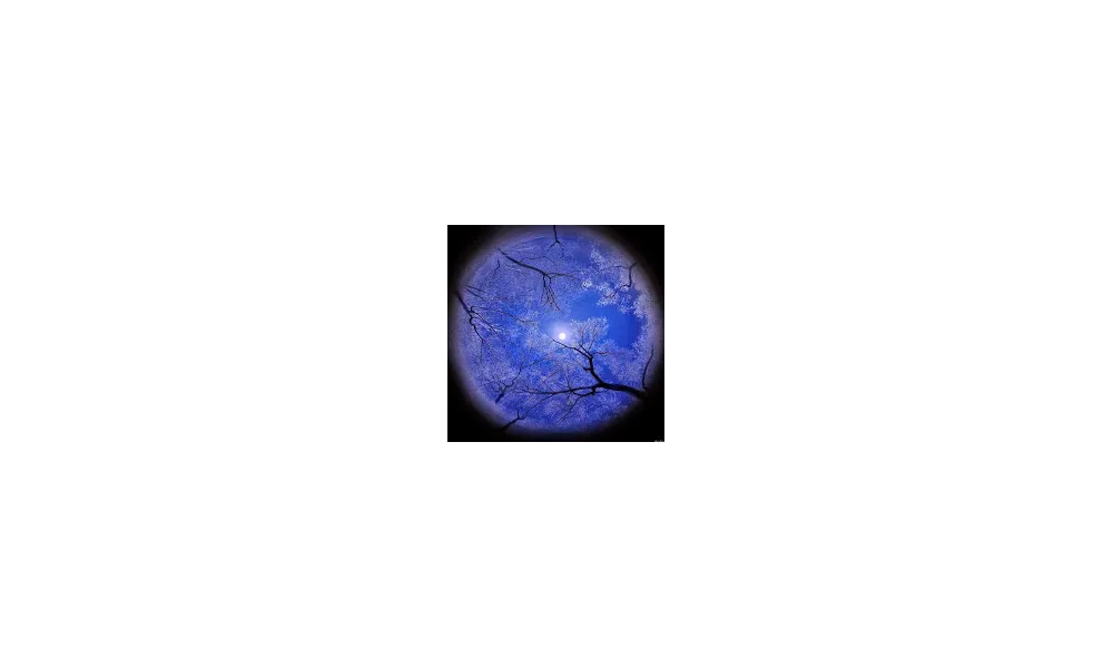 La Lune et son mystère