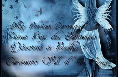 Concours - Le vol d'un ange - novembre 2010