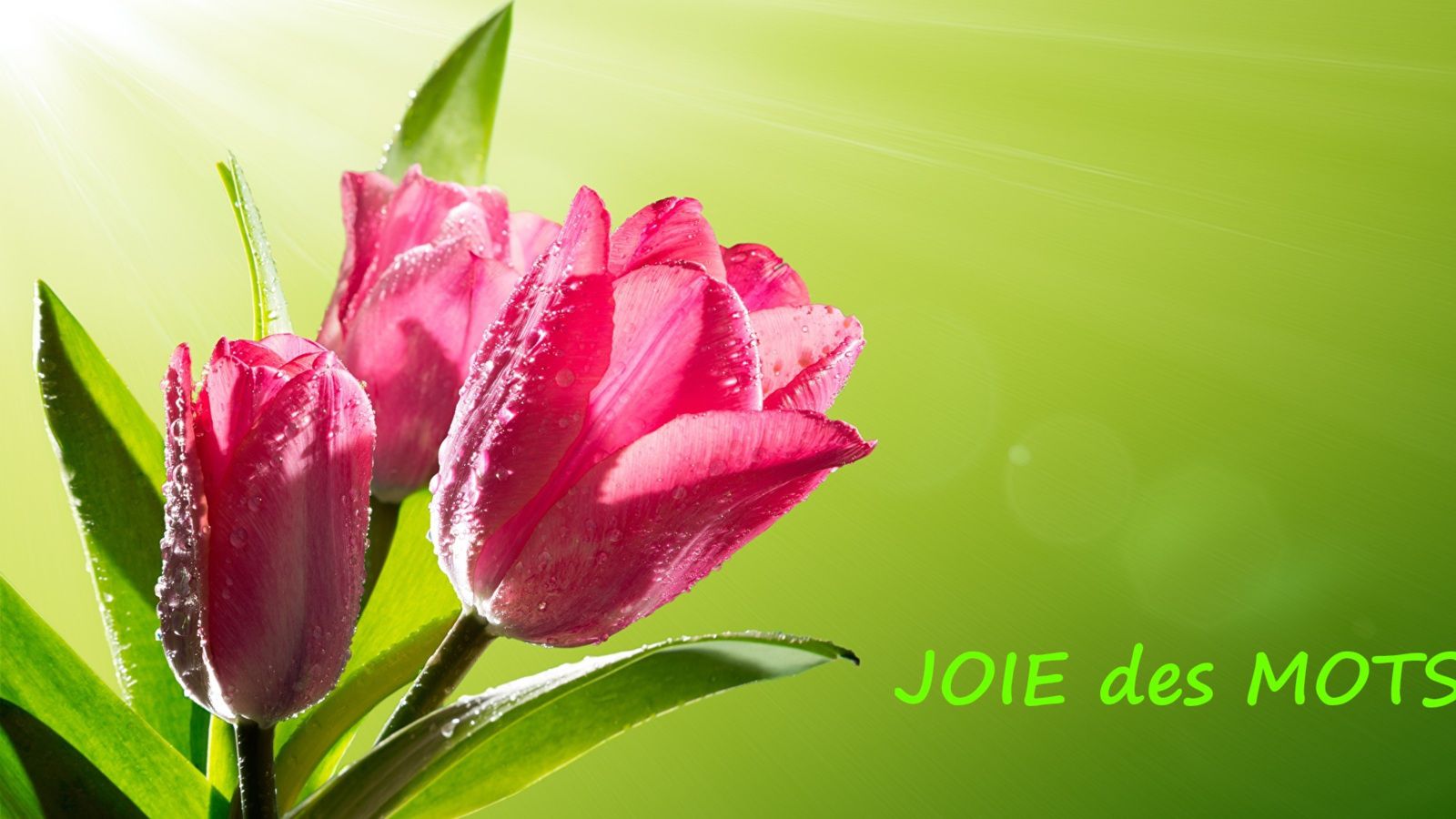 Header cover