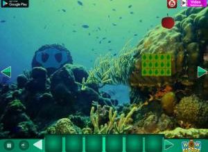 Find hidden dory soluce