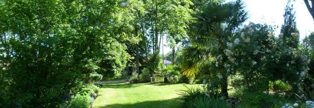 Au  jardin   chez Mary et Joël  (4)