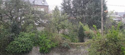 Honfleur