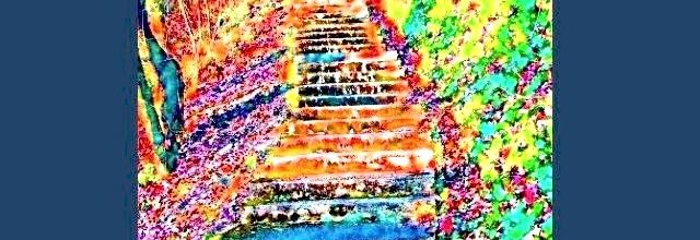 Vendredi de l'autre côté de mon escalier...