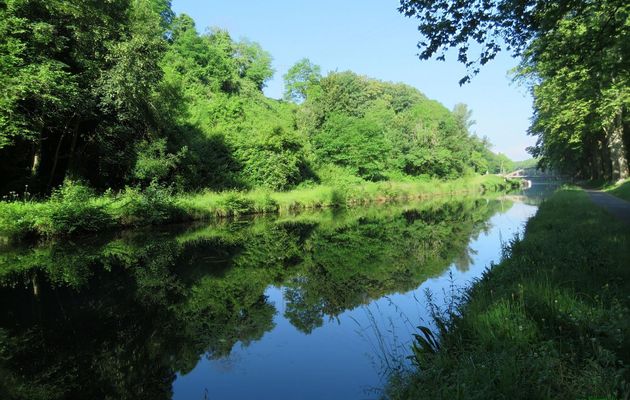 reflets sur le canal