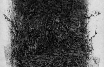* Alain Guesné : Le Marais, la nuit