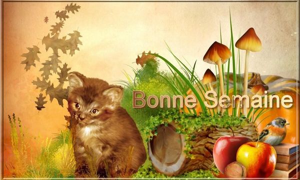 Bonne semaine 