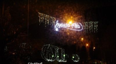 Paris et ses illuminations..(1).