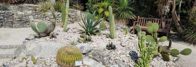 Une semaine à l'ile de Batz chez Zaza avec ma féline - Le jardin colonial - La cacteraie