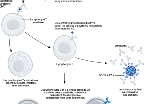 Les nouveaux vaccins contre le coronavirus.(1)