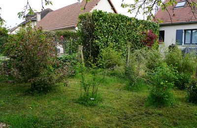 Le fond du jardin