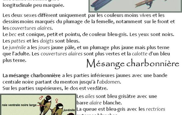 ... que j'aime mon jardin et l'observer