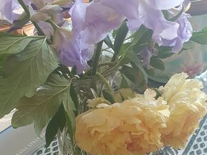Mes fleurs s'épanouissent ...avec ce beau soleil..!!