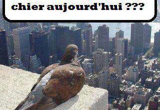 N'importe quoi pourvu qu'on puisse en rire !!!