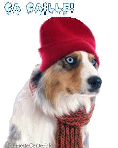 Il fait froid Brr