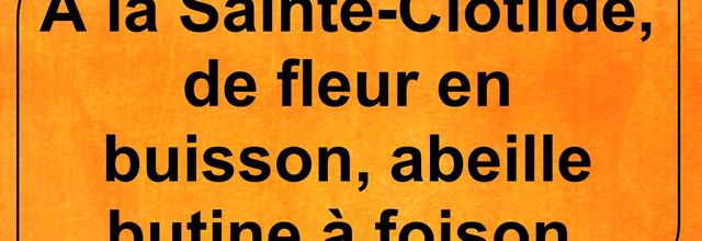 Dicton du 3 juin