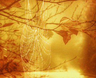 Bon Dimanche en Poésie 2025 !