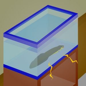 No1 Game - Find the Escape-Men 162: Eel 4