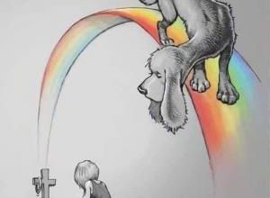 L'homme et son chien au Paradis