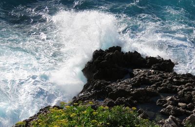 une vague en Méditerranée 