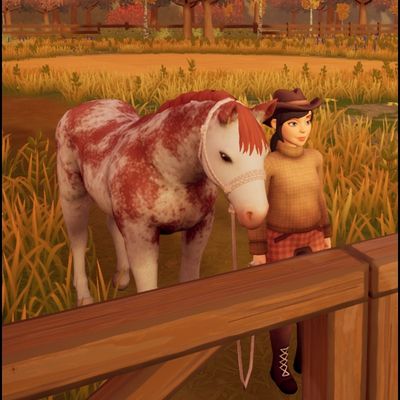 Quelles sont les nouvelles ?