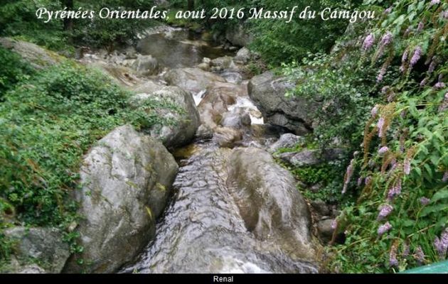 Pyrénées Orientales aout 2016  Massif du Canigou