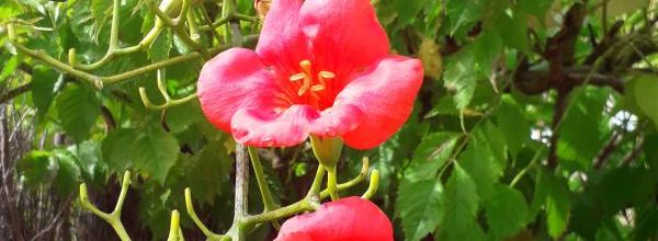  jeudi en balade photos 