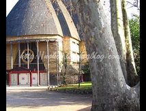 La Grande Pagode - Vincennes