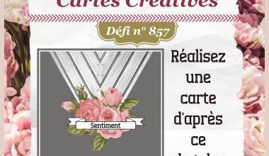 Passion Cartes Créatives#857 !