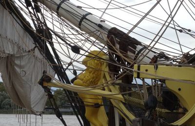 Les deux lions, le jaune de l'Hermione et le bleu de la place Stalingrad...