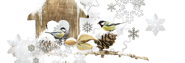 Un conte d'hiver