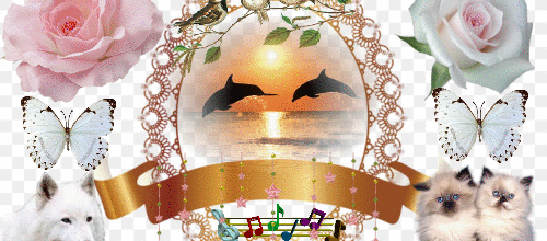 CADRE FLEURS ANIMAUX