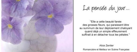 La pensée du jour (126)