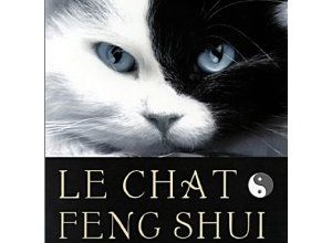 Le chat Feng shui :