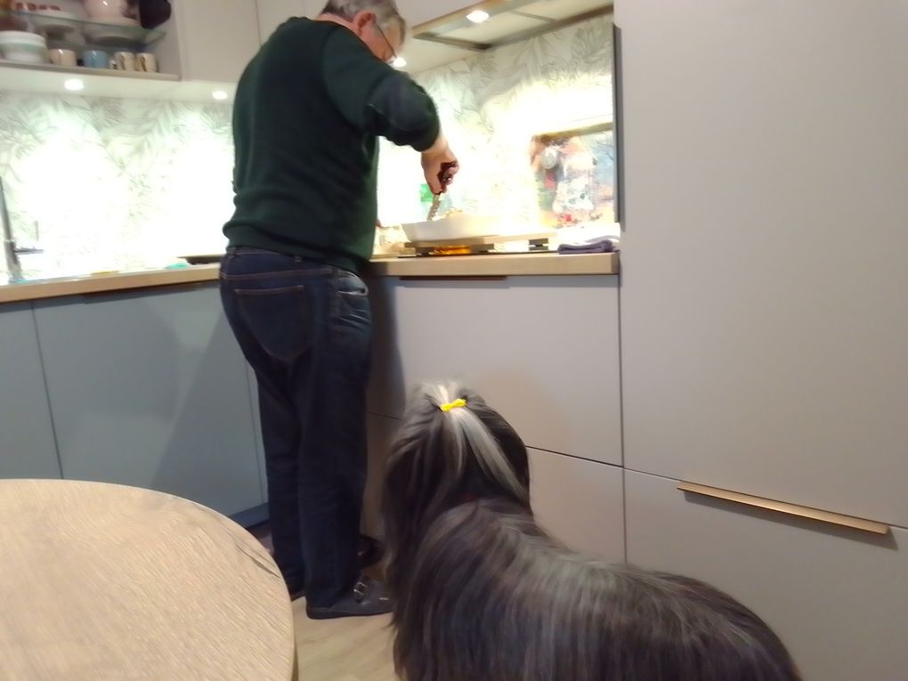 diaporama * Tavia la gourmande - photos du 25.10.2025 " Juste un p'tit bout STP pôpa" !! lol