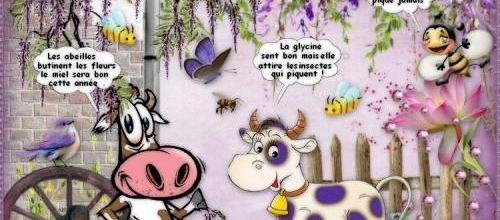  La glycine 