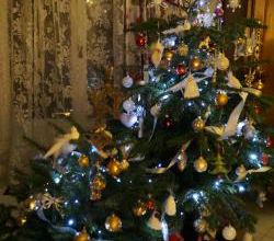 Noël 2019 : la forêt enchantée 4