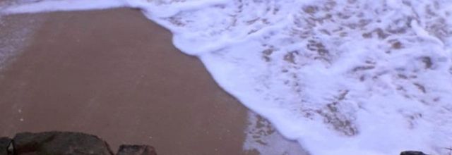  connaissez-vous les vagues ? 