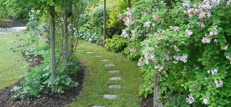 Petits secrets d'un jardin 100% naturel