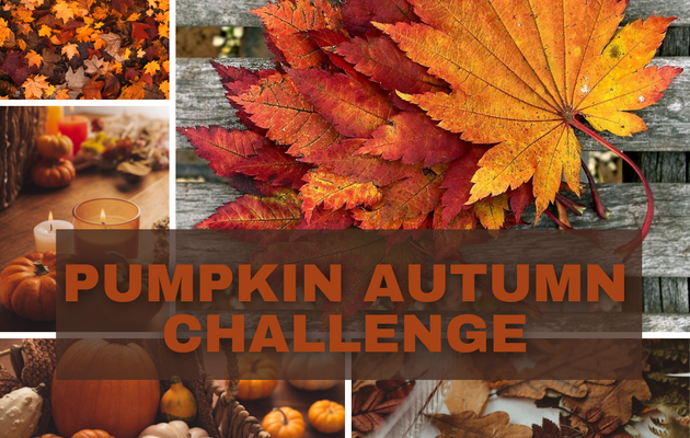 Pumpkin Autumn Challenge 2025 : Présentation de ma PAL !