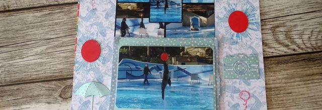 Une page "Otaries" pour le gros album du zoo de la Palmyre